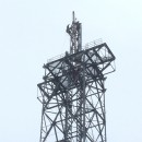 S__65978372